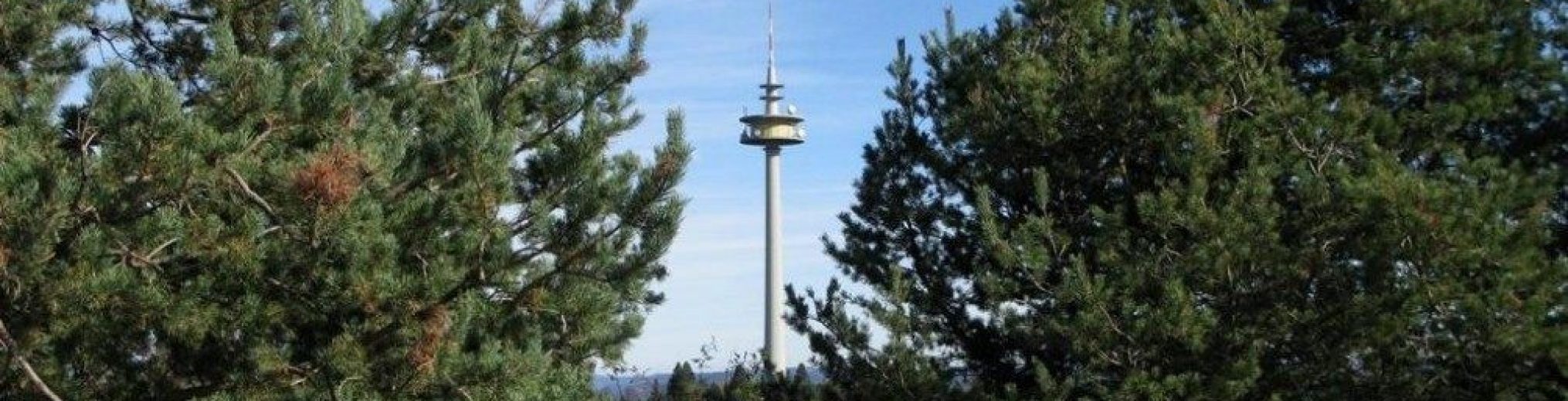 Schwäbischer Albverein | Ortsgruppe Dotternhausen